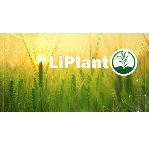 LiPlant表型数据处理软件
